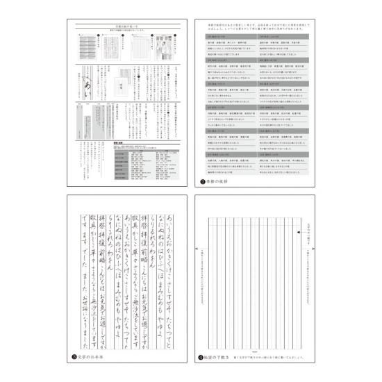 MIDORI(ミドリ) きれいな手紙が書ける便箋 細罫