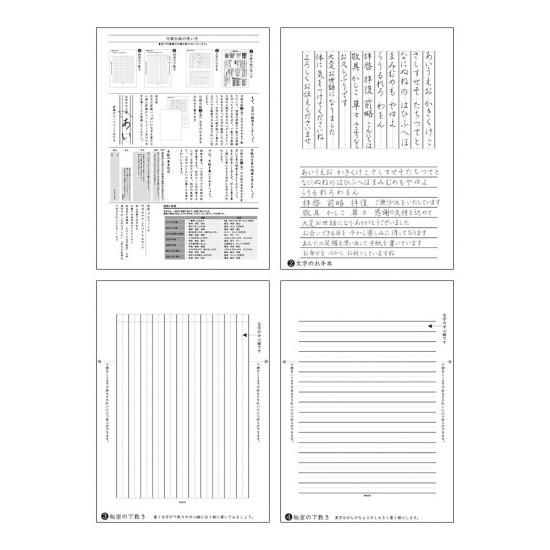 MIDORI(ミドリ) きれいな手紙が万年筆で書ける便箋 無地